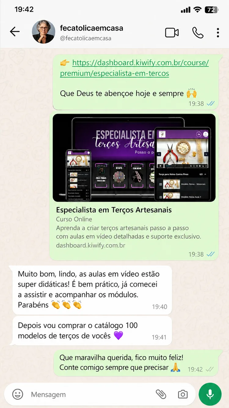 Print de conversa no WhatsApp: aluna elogia as aulas em vídeo super didáticas e diz que vai comprar o catálogo
